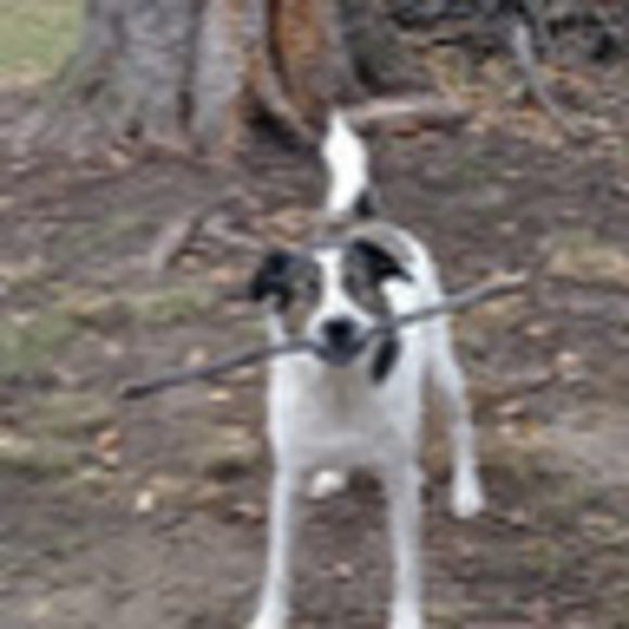 Meet your Posher, Ted - Picture 1 of 1